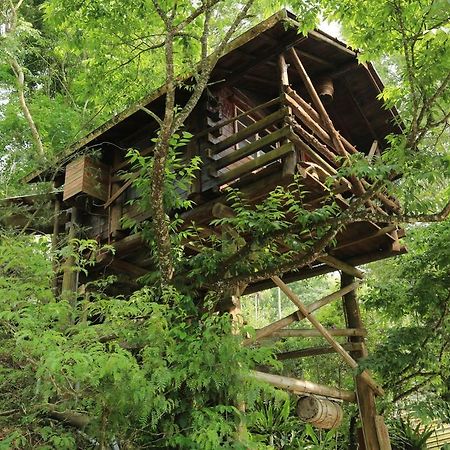 Lai Home Country Cottage B&B Meishan Экстерьер фото
