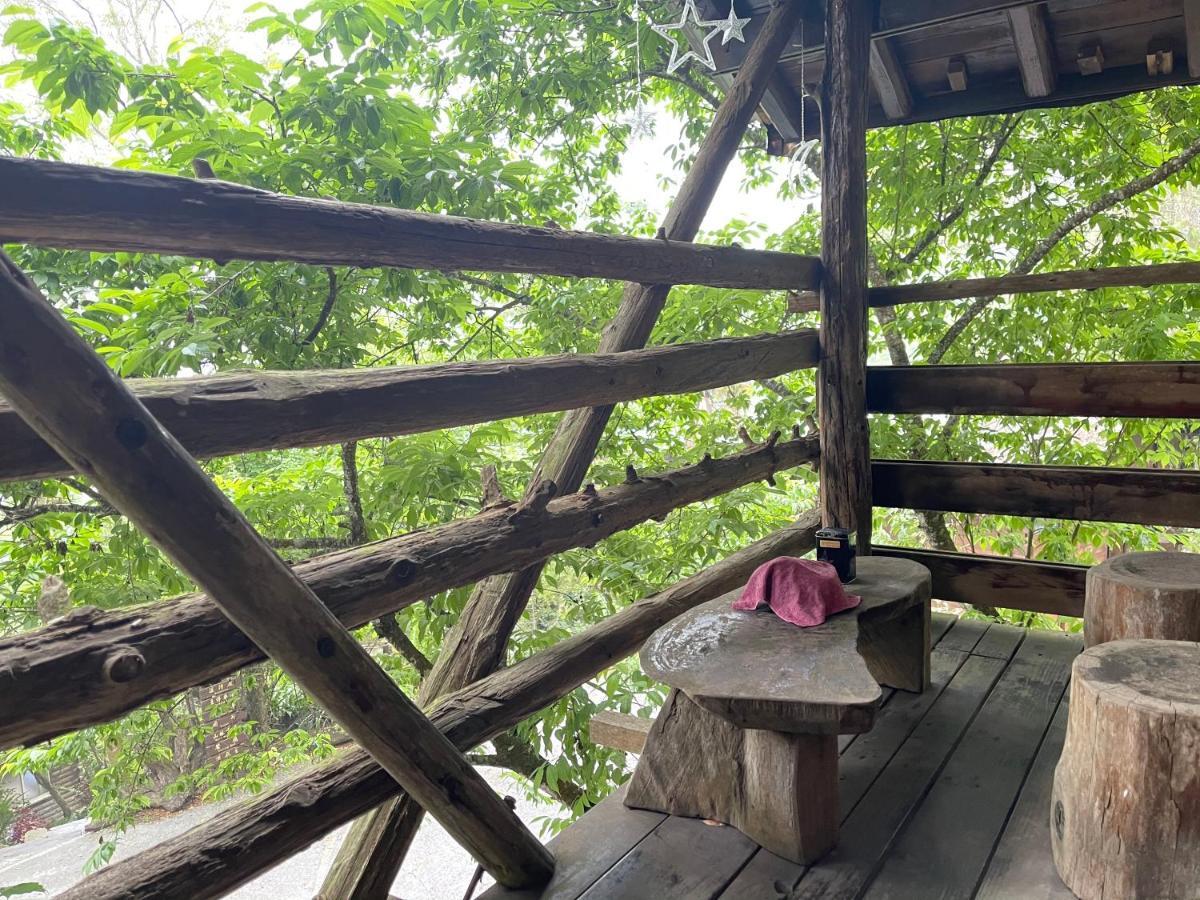 Lai Home Country Cottage B&B Meishan Экстерьер фото